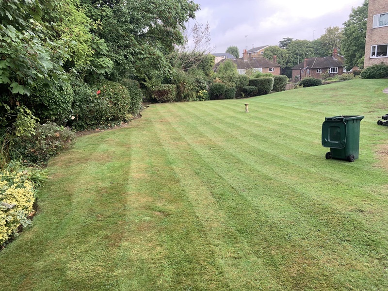Garden Maintenance by JB Garden Services