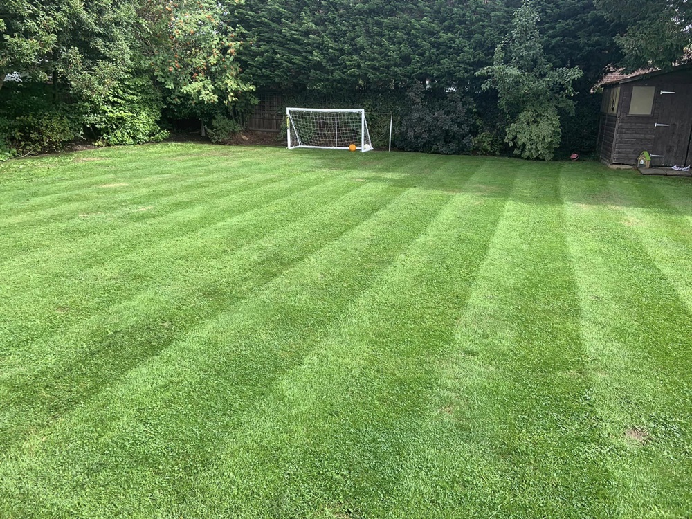 Garden Maintenance Broxbourne