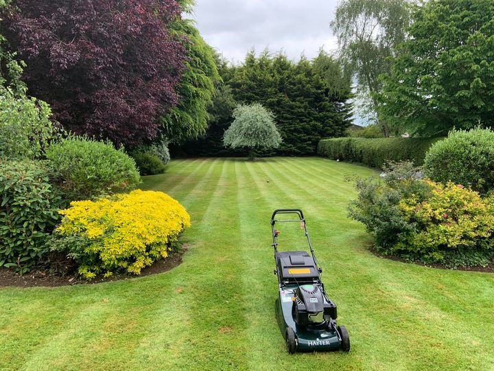 Lawn Maintenance Hoddesdon