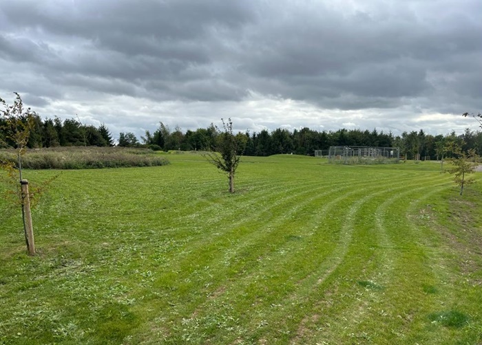 Communal Green Space